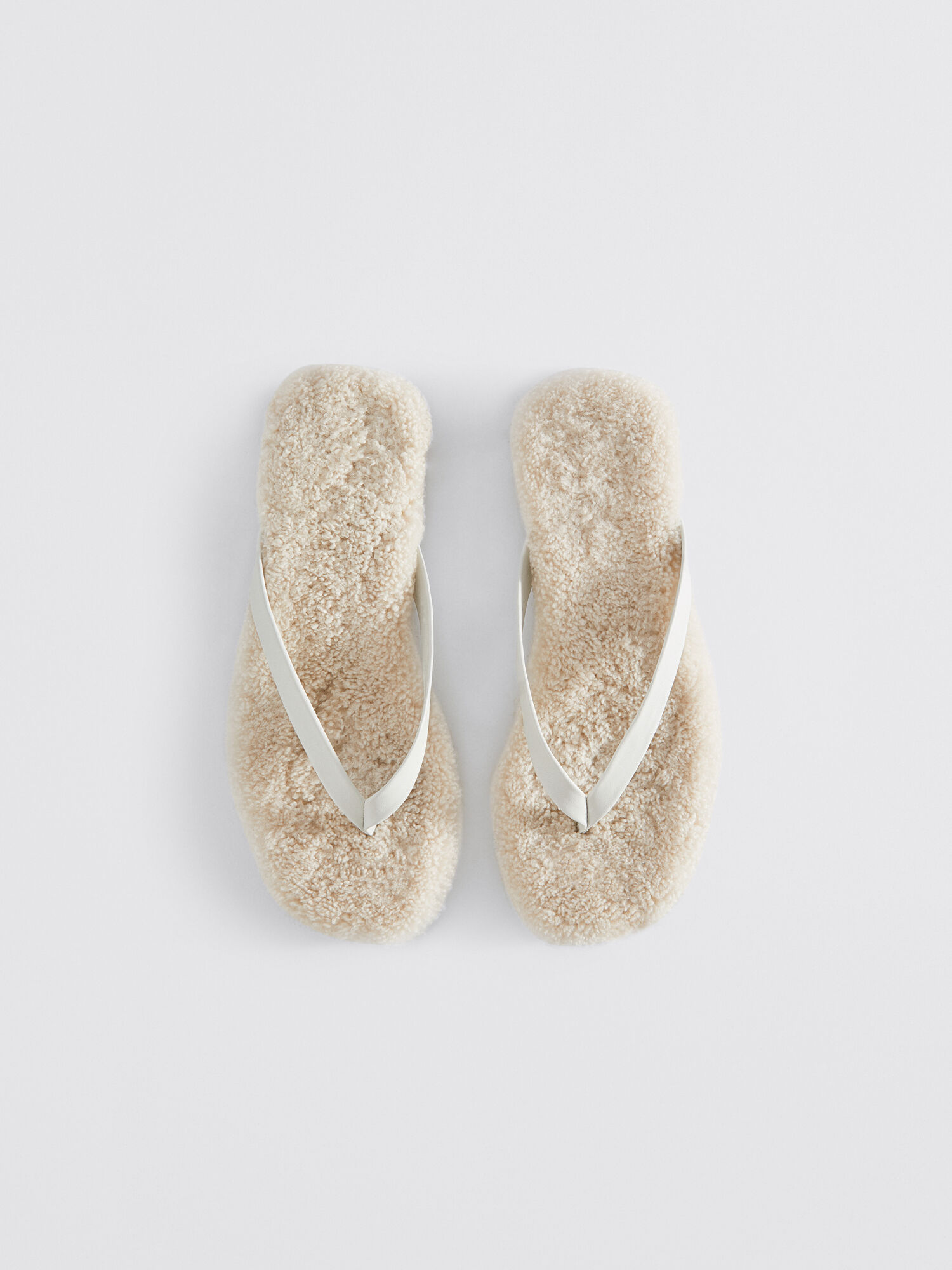 Flip Flop